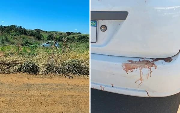 Amigos matam homem a facada durante festa e abandonam corpo às margens de estrada